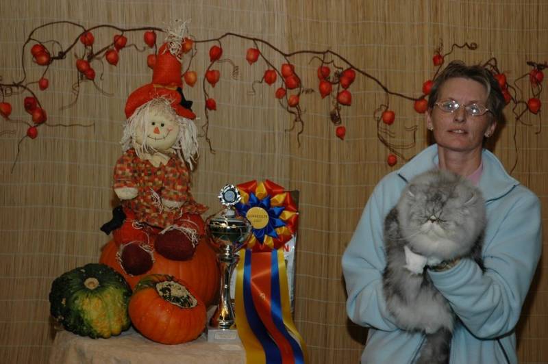21-10-2007, Gorredijk: Kitty Best in Show
