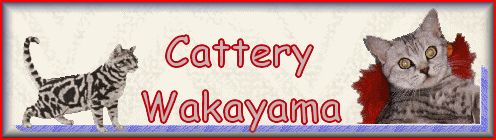 Brittencattery Wakayama
